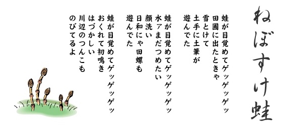 あがすけ蛙