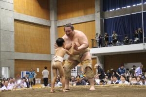 ちびっこ相撲
