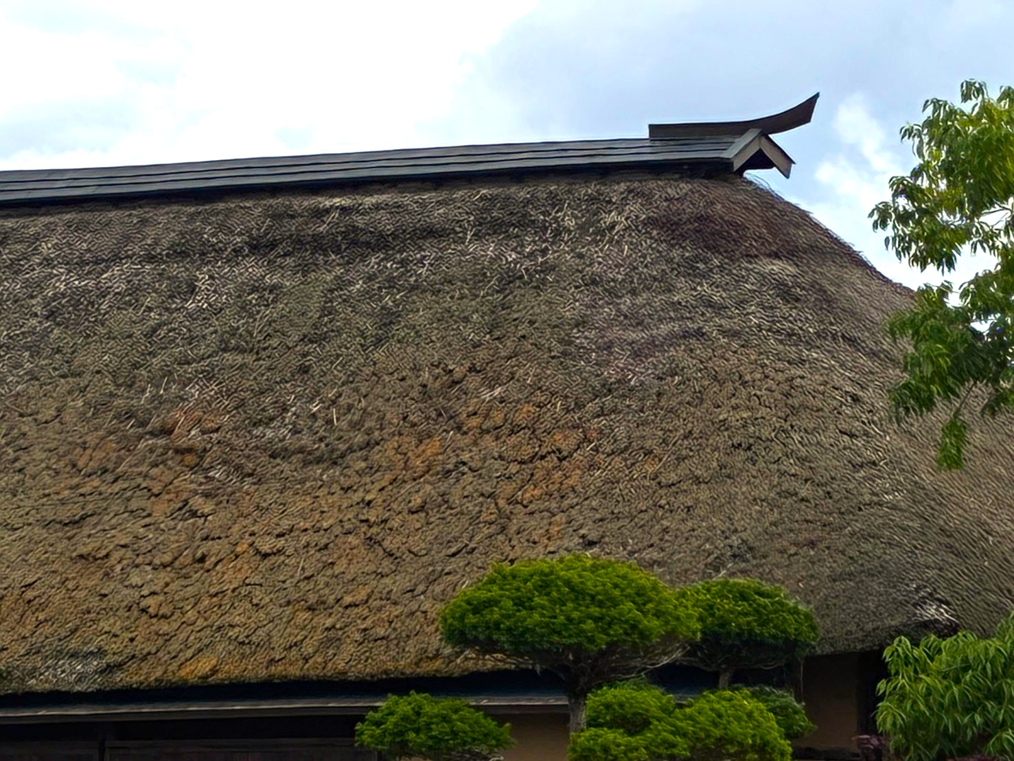 屋根の様子