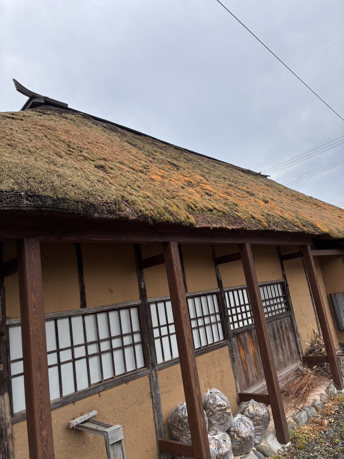 屋根の様子2