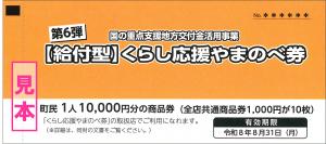 第６弾【給付型】くらし応援やまのべ券見本画像